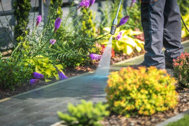 Best Dumpster Area Cleaning  in Strafford, MO